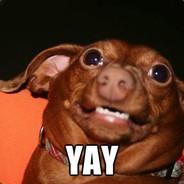 swaplink's Stream profile image