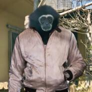 Lil Bowl's Stream profile image
