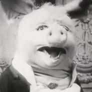Koalemos's Stream profile image