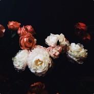 Corsica's Stream profile image