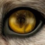 Deaca0's Stream profile image