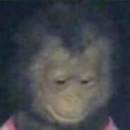 SleepyPanda3000's Stream profile image
