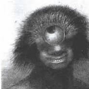 Laurie Patalo's Stream profile image
