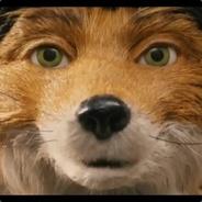 Vulpes Vulpes's Stream profile image