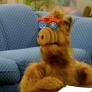 wizardminidonkey's Stream profile image