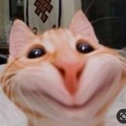 Billi The Dawg's Stream profile image