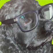 Vitriol's Stream profile image