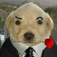Fino Señores's Stream profile image