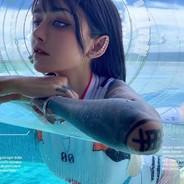 断他狗八's Stream profile image