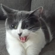 PetterP's - Steam avatar