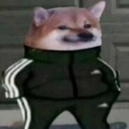EL PAPU MISTERIOSO's Stream profile image
