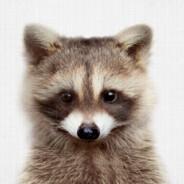 Willy Waschbär's Stream profile image