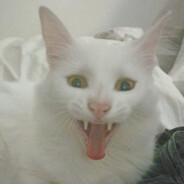 Lolo - Tosco Jugador's Stream profile image