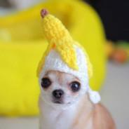 SnakeEater's Stream profile image