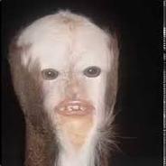 Overseer's Stream profile image