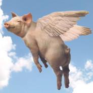 Aéro Porc's Stream profile image