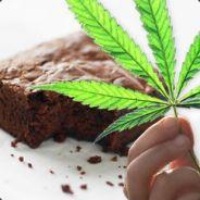 MgkBrownies's Stream profile image