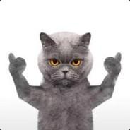 Lun's Stream profile image