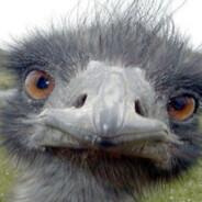 Emu's Stream profile image