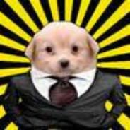 Fewer1432's Stream profile image