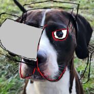 Valentin Martínez's Stream profile image