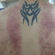 five six seven's Stream profile image