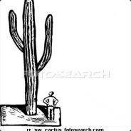Never_Surrended's Stream profile image