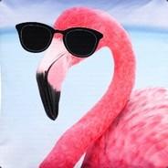 Flamingo mit Ray Ban's Stream profile image