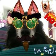 Bromani's Stream profile image
