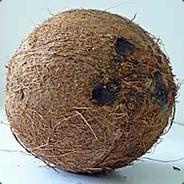 Oji's Stream profile image
