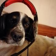 MartenSky's Stream profile image