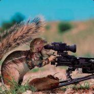 fris's Stream profile image