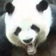 SkyTerrorLiar's Stream profile image