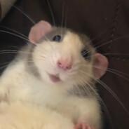 Leche Vaporizada's Stream profile image