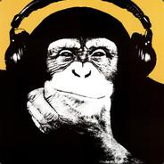 yokadam's Stream profile image