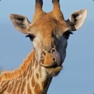 Justus Joennsen's Stream profile image