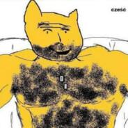 aloneinpiechowice's Stream profile image