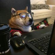 Quantitative Psychologist's Stream profile image