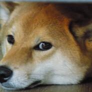 emanuelvicente14's Stream profile image
