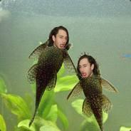 Iterb's - Steam avatar