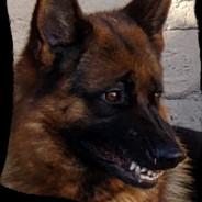 TAMO ALORNO's Stream profile image