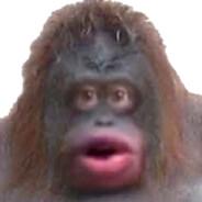 LeMonke's Stream profile image