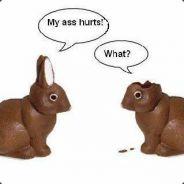 ichduersieeswir's Stream profile image