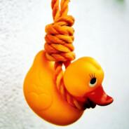 (•̪●)Suîcîde Duck_{CH}'s - Steam avatar