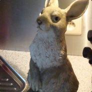 Sandieman's Stream profile image