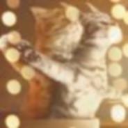 AresCat's Stream profile image