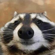 Mappie's Stream profile image
