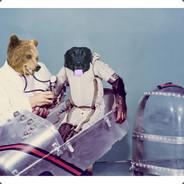 dogbrain's Stream profile image
