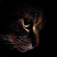 [L2P]DarkCat's - Steam avatar