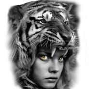Tigertooth's Stream profile image